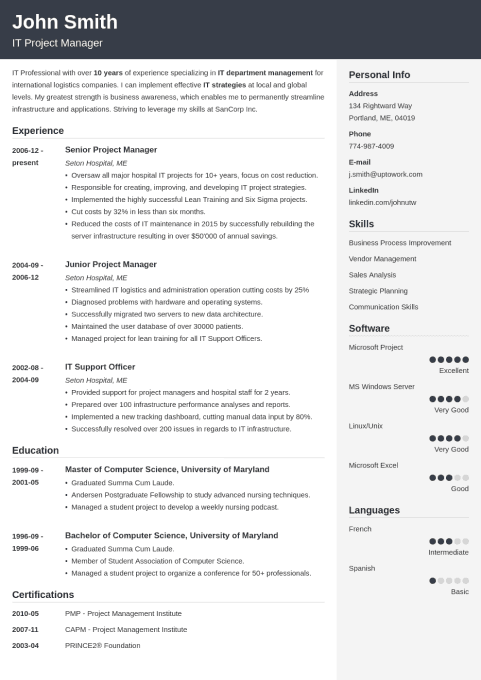 resume sample2